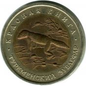 50 рублей - Туркменский зублефар, 1993 год
